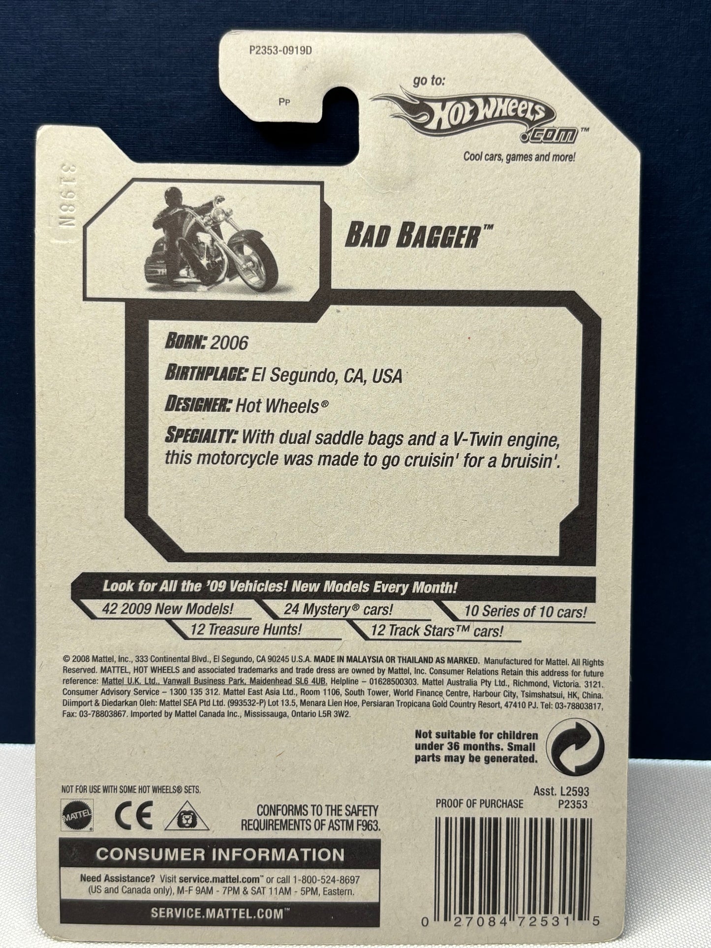 Bad Bagger: 2009 Treasure Hunt