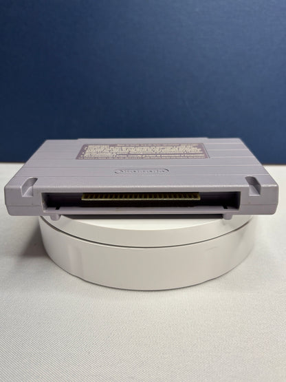 Tiny Toon Adventures Wacky Sports Challenge