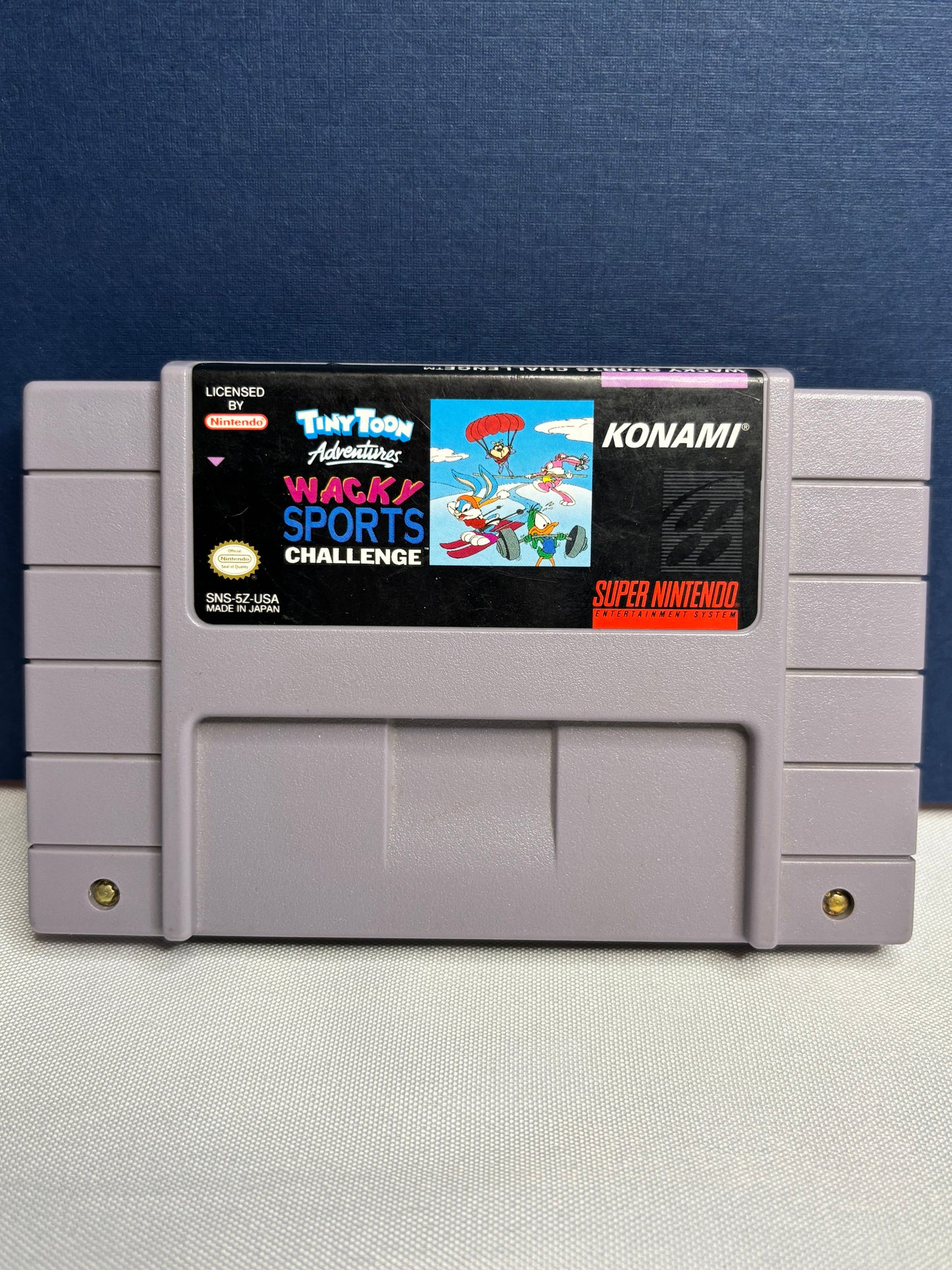 Tiny Toon Adventures Wacky Sports Challenge